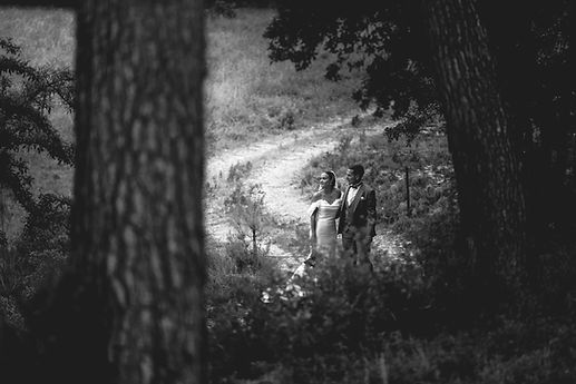 Photo des mariés classe et élégante dans la forêt, photo en noir et blanc