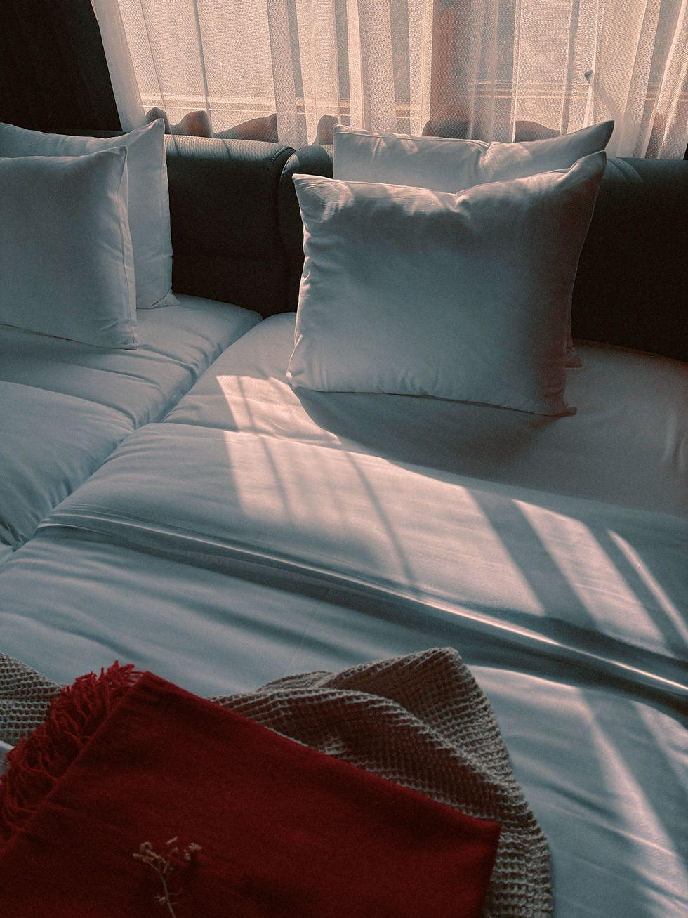 WhatsApp Image 2025-12-06 at 14.52.59.jpeg