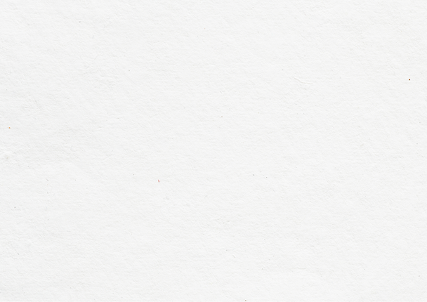 toni todd brida (9).png