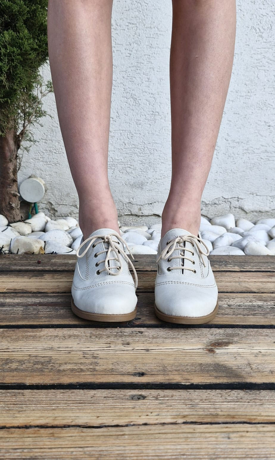 תמונה ממוזערת: תבור