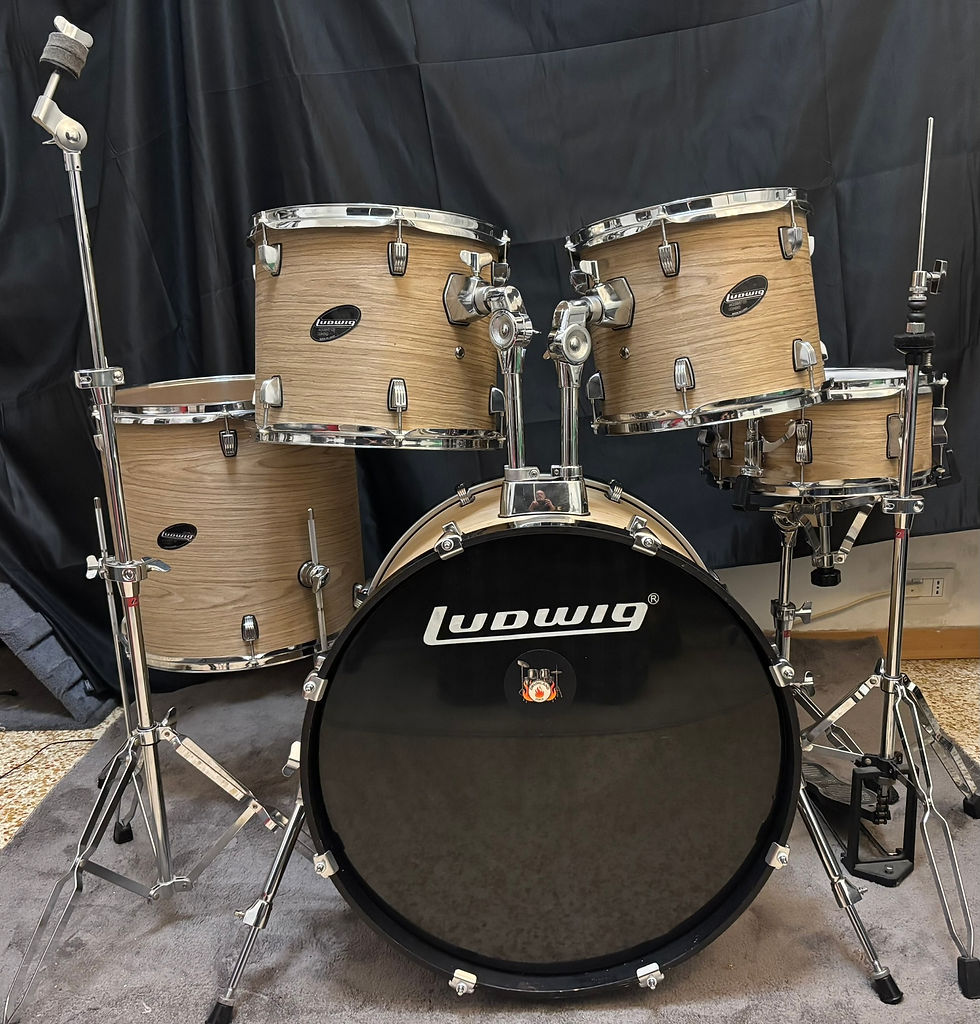 Miniatura: Ludwig Accent Quercia bianca