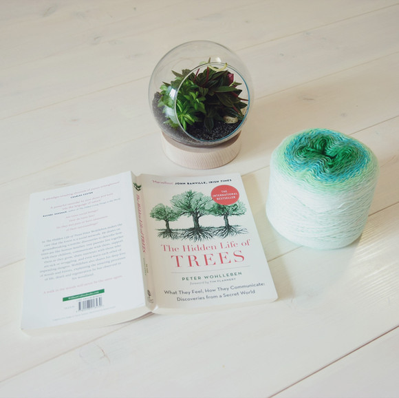 The hidden life of TREES