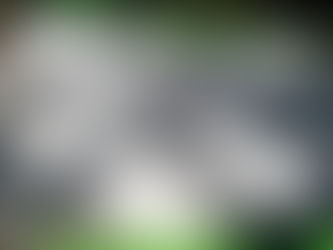 96