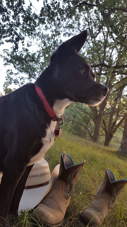 20170731_200035.jpg