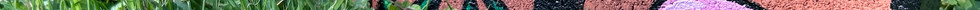IMG_6739.jpeg