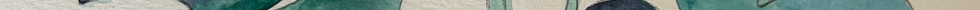 IMG_9017.jpeg