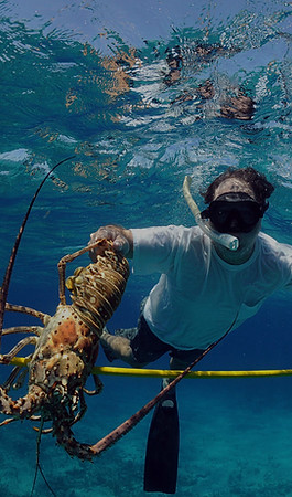 Spearfishing-California_edited.jpg