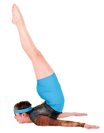 CDL Acro Trial classes.png