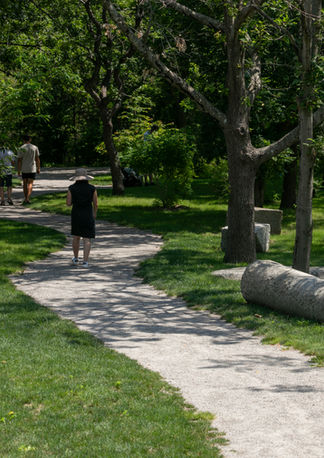 Gravel path through woods at Halibut Point State Park