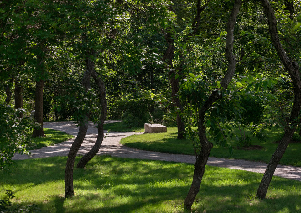 Gravel path through woods at Halibut Point State Park seen through a grove of trees - Crowley Cottrell LLC Landscape Architecture