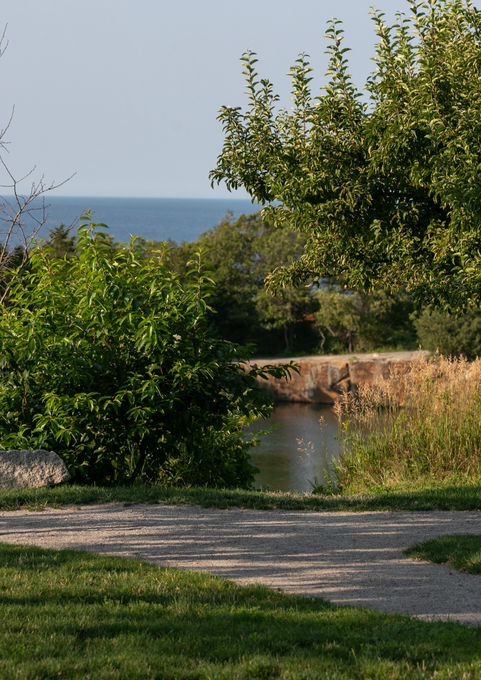 Path to rock quarry overlook at Halibut Point State Park - Crowley Cottrell LLC Landscape Architecture