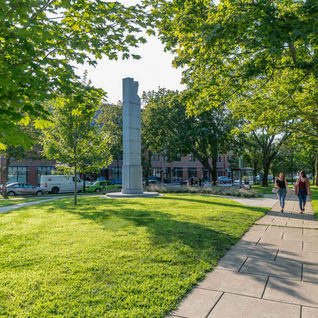 two people walking on the sidewalk next to the park in the shade of trees.