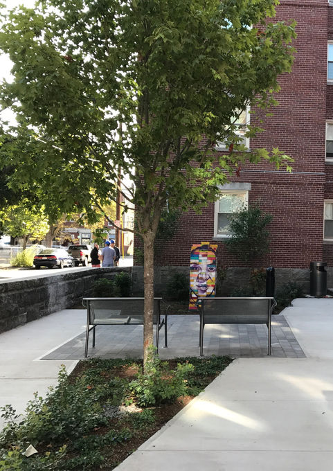 Shaded seating area amidst new planting at Dow Street Courtyard - Crowley Cottrell LLC Landscape Architecture
