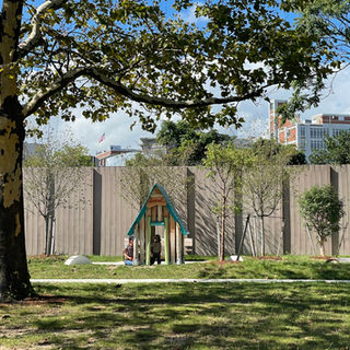 playhouse in the shade of a large tree
