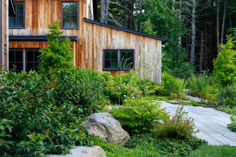 A wooden house surrounded by wild planting. Wilding Edge house Concord MA Crowley Cottrell LLCLandscape Architecture