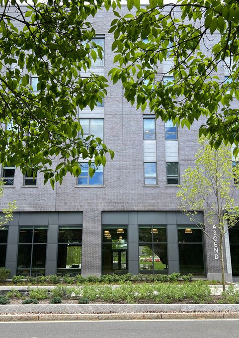 Streetscape planting at UMass Amherst Fieldstone Apartments - Crowley Cottrell LLC Landscape Architecture