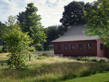 dark red barn in a meadow surrounded by trees