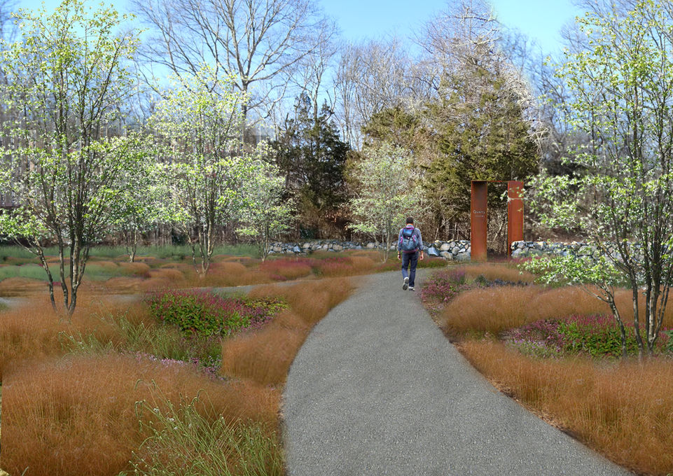 Rendering of path through meadow at Westport Woods - Crowley Cottrell LLC Landscape Architecture