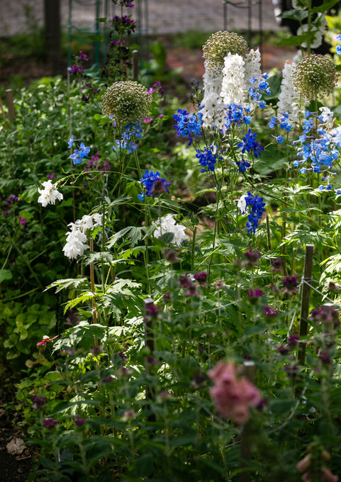 Flower garden in full bloom - Crowley Cottrell LLC Landscape Architecture