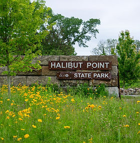 Stone entry sign with wildflowers in the background