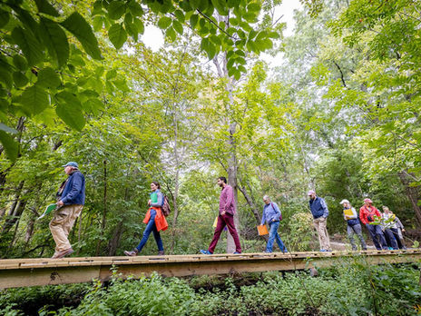 tour group walking along a boardwalk through dense woods.