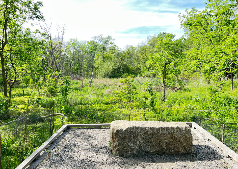 Stone bench on an overlook at Roslindale Wetlands Urban Wild -- Crowley Cottrell LLC Landscape Architecture