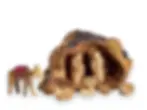 Thumbnail: Rustic Olive wood Nativity Scene in a Cave, Olive wood Nativity set