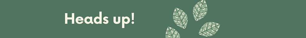 Forest Daily Agenda Slide-7.png