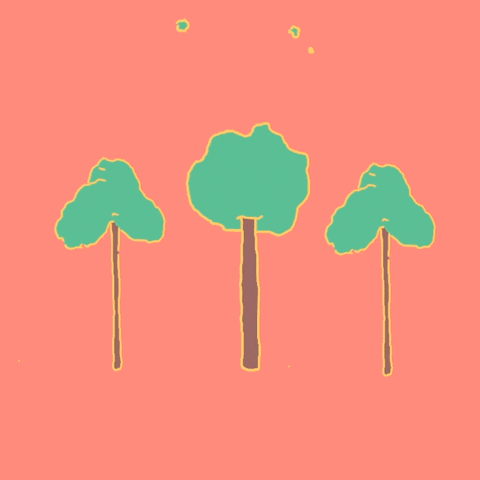 giphy-13.gif