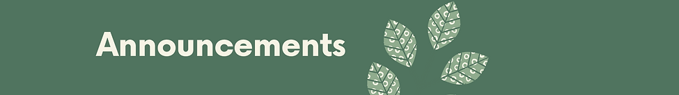Forest Daily Agenda Slide-4.png