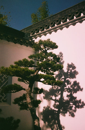 IMG_3879.jpeg
