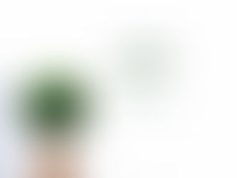 Charity at its best as A calling!!