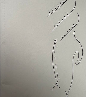 Pharaoh To Star.jpeg