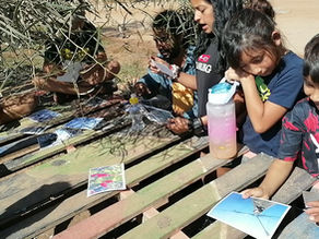 Emociones Orientadoras: Diseño metodológicos para la Investigación Acción Participativa con Infancias, Niñeces y Juventudes.