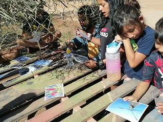 Emociones Orientadoras: Diseño metodológicos para la Investigación Acción Participativa con Infancias, Niñeces y Juventudes.