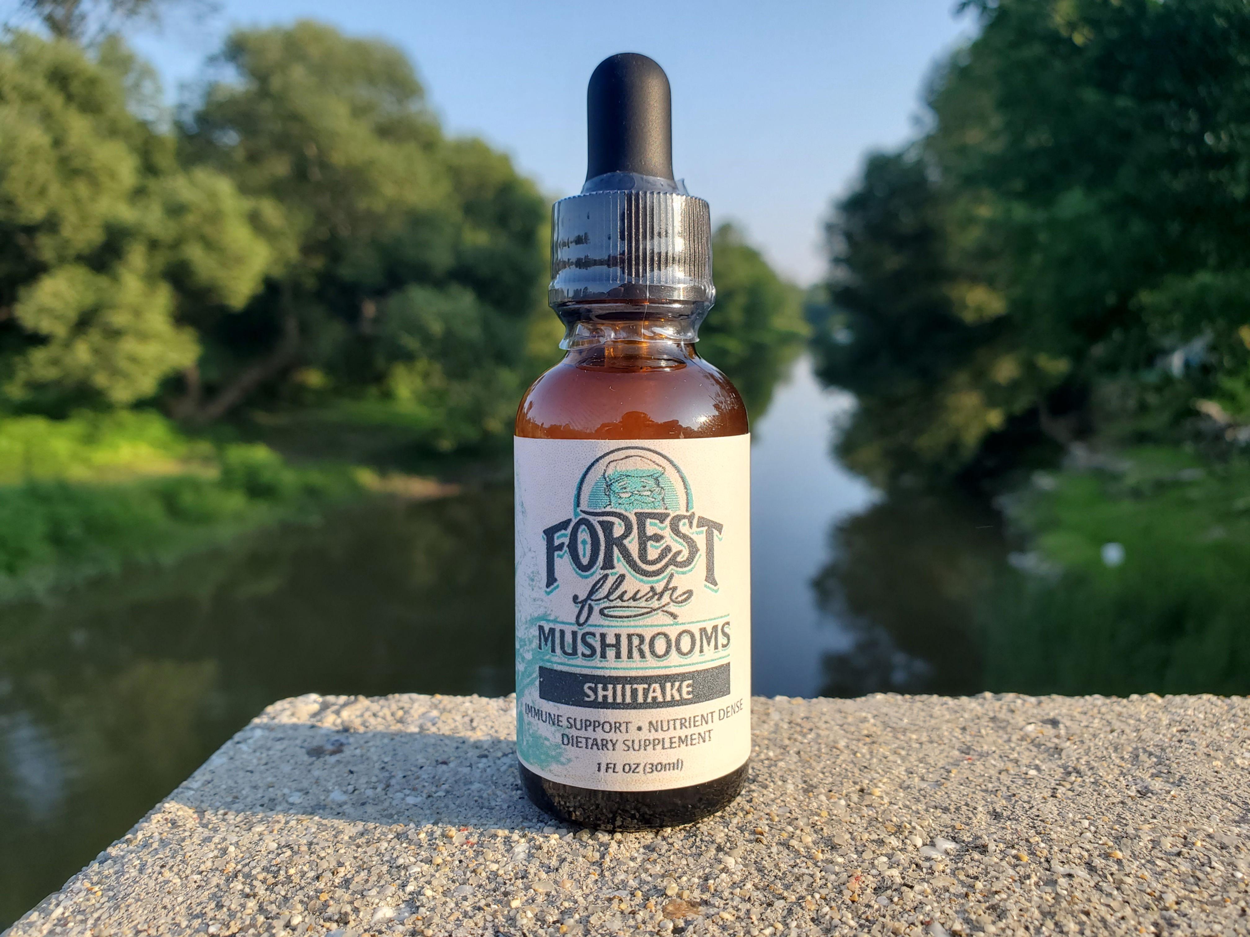 Shiitake Double Extract Tincture