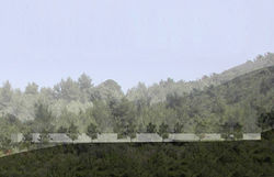 adi wainberg - arbejazz