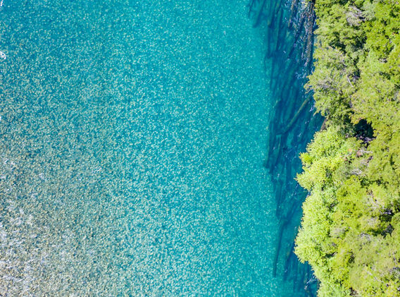 Bio Bio Expeditions
Futaleufu
Confluence Fishing