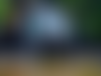 Ribeirinho em frente à sua casa em palafita na Amazônia.