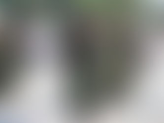 Militares do exército em desfile do dia da independência.