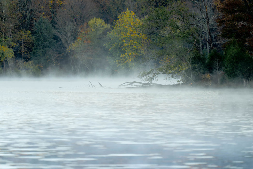 Fog over cold water