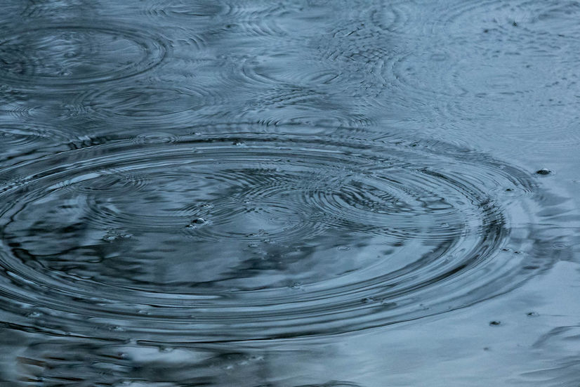 Raindrops falling on the lake surface.