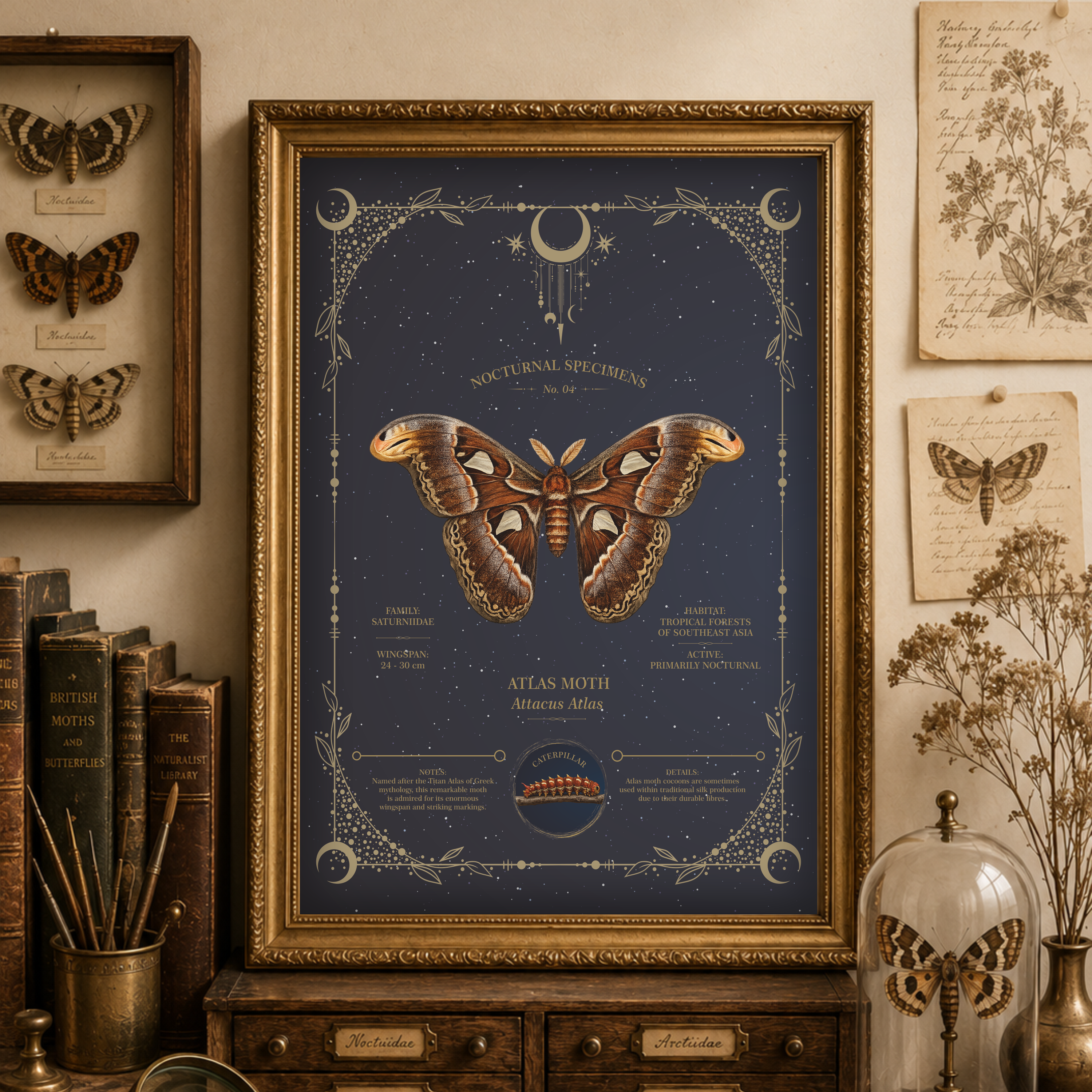 Nocturnal Specimens No. 04