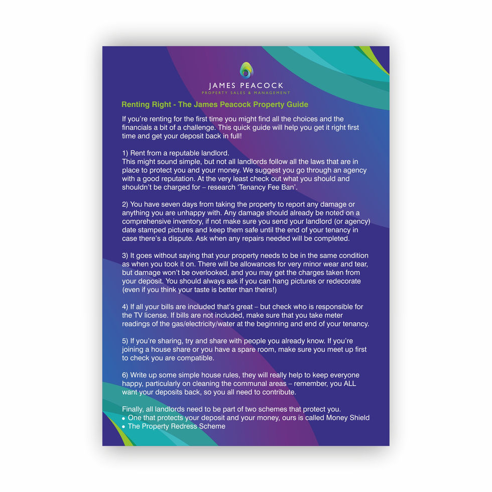 james-peacocks-leaflet-2-side-B