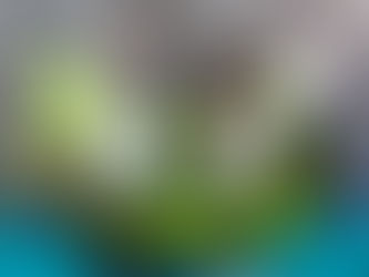 Jetzt offiziell: Unsere neuen Boardmembers