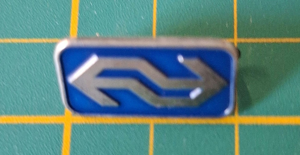 NS logo pin badge