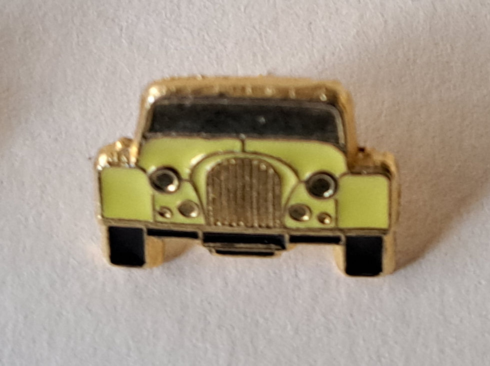 Miniatura: Morgan front view pin, yellow