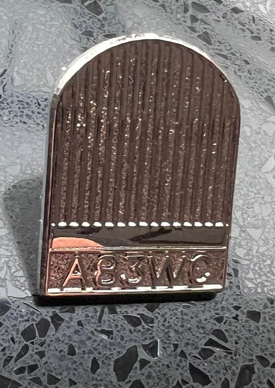 Miniaturebillede: Morgan Aero 8 grille, pin badge, close up