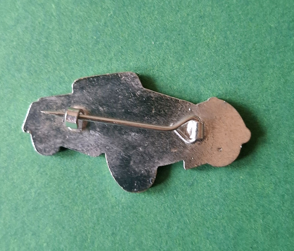 Thumbnail: Morgan Plus 8 pin badge, rear