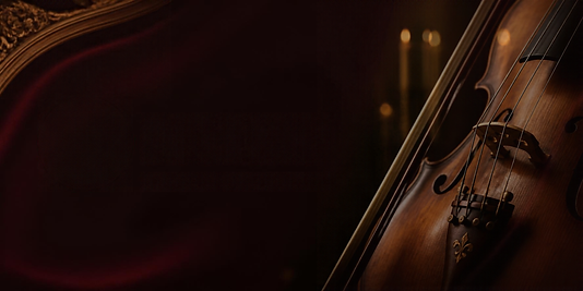 Elegant Orchestra Website Banner-2.png